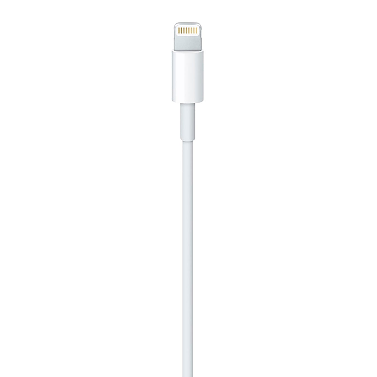Cable Lightning - Usb A Apple 1m Bulk
