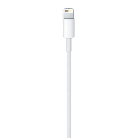 Cable Lightning - Usb A Apple 1m Bulk