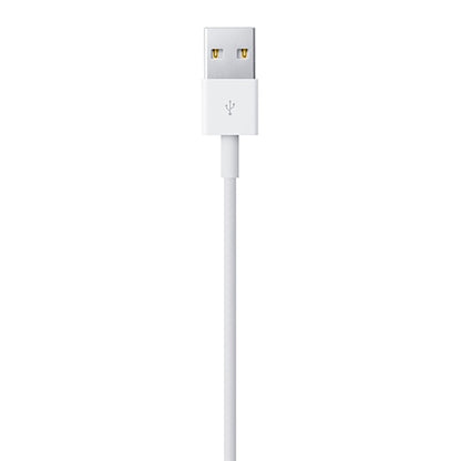 Cable Lightning - Usb A Apple 1m Bulk